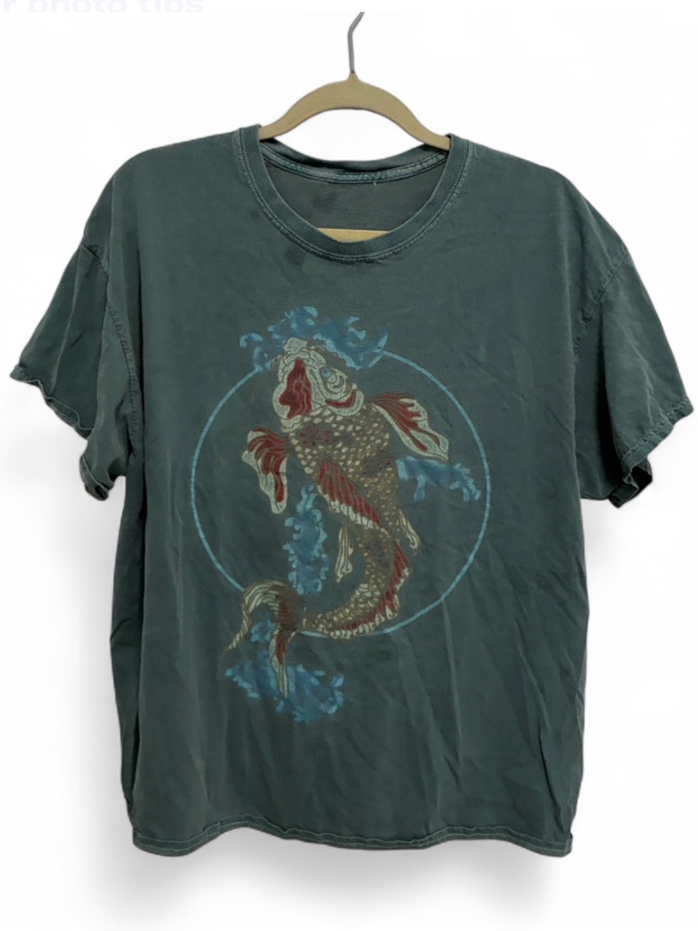 Urban Outfitters Green Koi Fish Graphic Oversized Short Sleeve Tee Shirt
